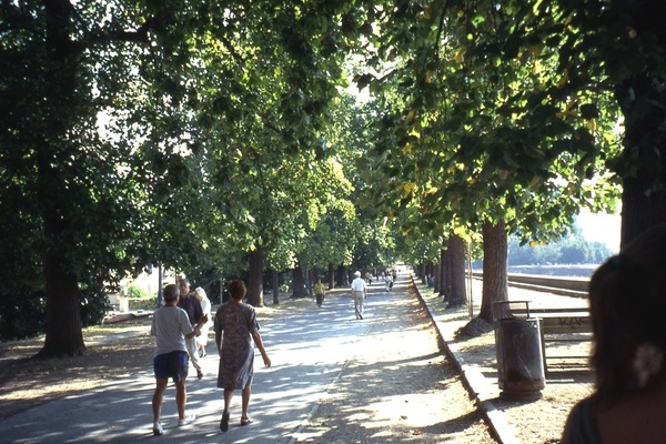 Lucca