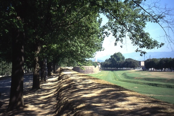 Lucca