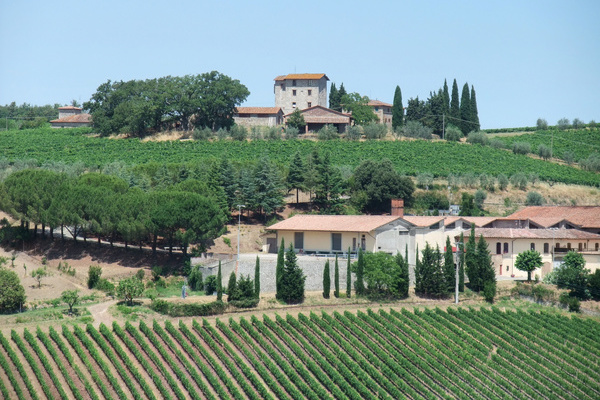 Gaiole in Chianti